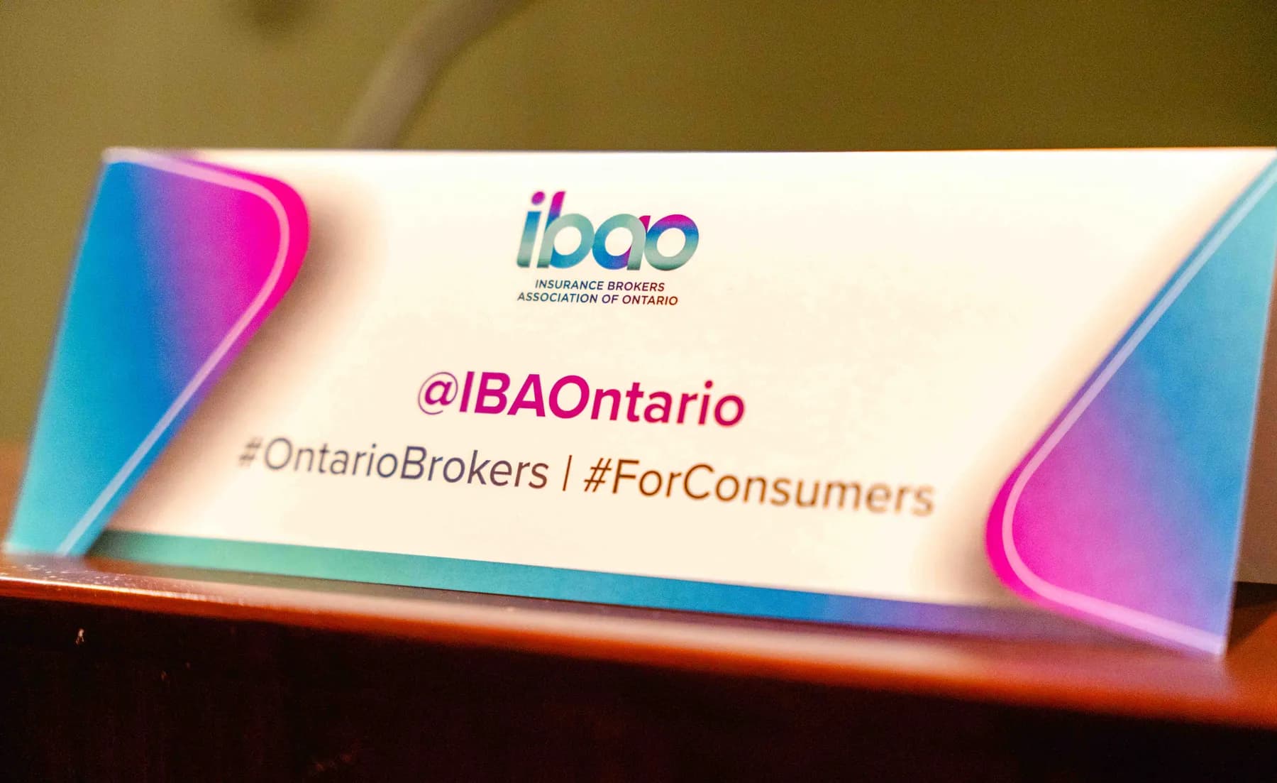 IBAO event signage at the IBAO event at Queen’s Park.